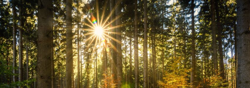 spring equinox