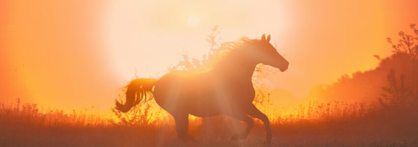 Chinese year of the horse